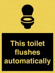 This toilet flushes automatically